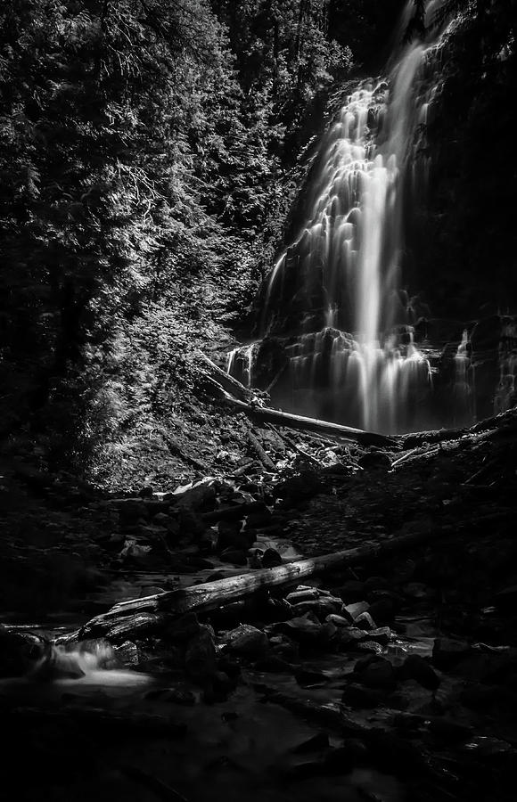 Black And White Photograph - Proxy Falls #4 by Cat Connor