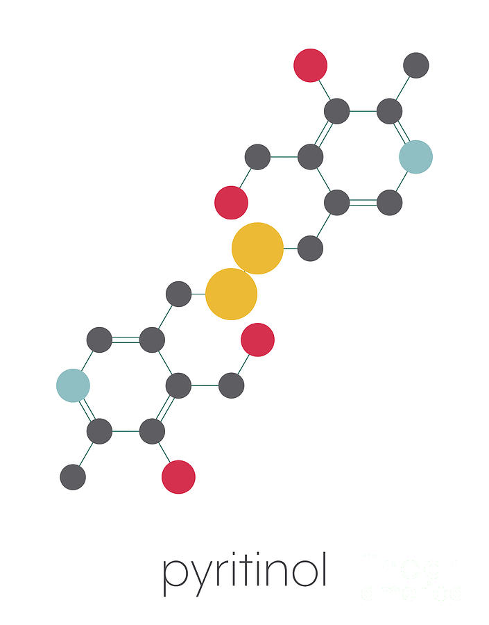 Pyritinol Molecule Photograph by Molekuul/science Photo Library - Pixels