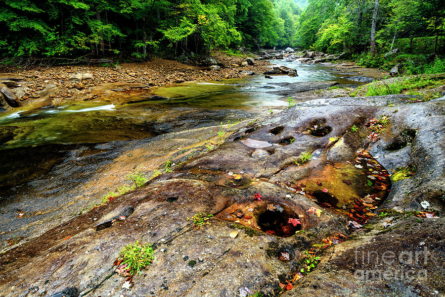 Spring Photograph - Rainy Day on Williams River #4 by Thomas R Fletcher