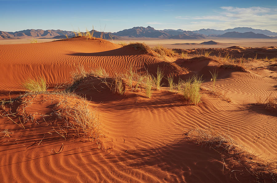 Red Dunes In The Namib Rand Nature Reserve, Namib Naukluft Park, Namibia #4 Photograph by Thomas Grundner