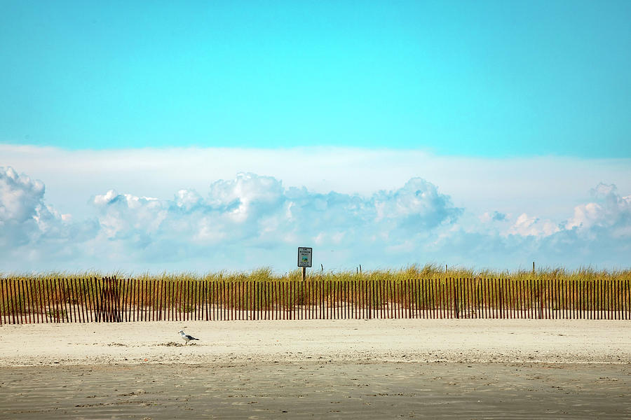 Rhode Island, Newport, Easton Beach #4 Digital Art by Lumiere