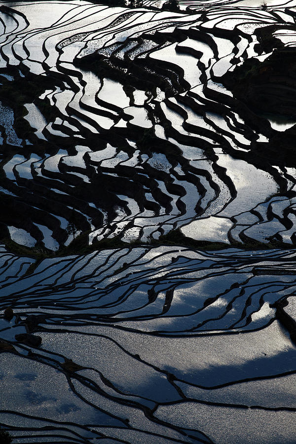 Rice Terraces, Yunnan, China #4 Digital Art by Andrea Pozzi