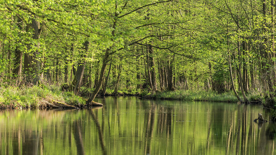River Landscape In Spring At Sunshine In Spreewald #4 Photograph by Martin Siering Photography