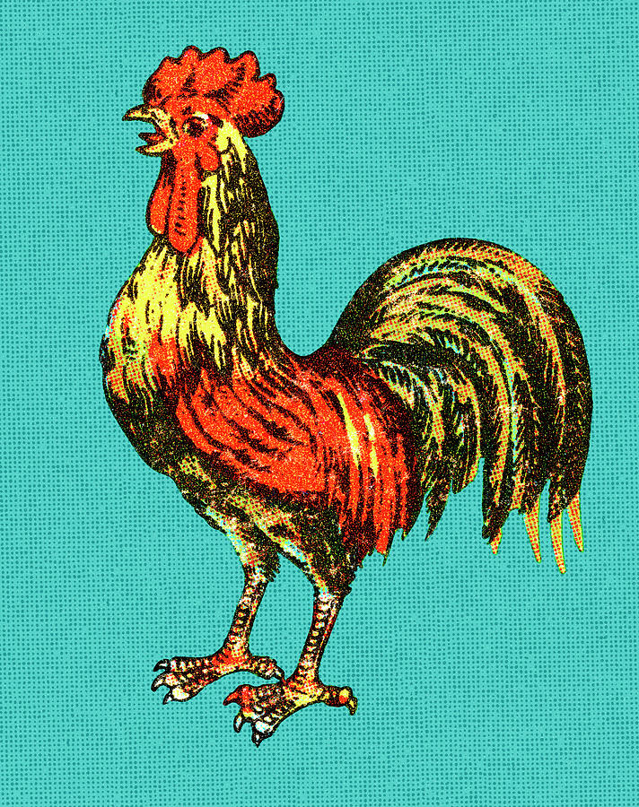 Chicken Drawing - Rooster #4 by CSA Images