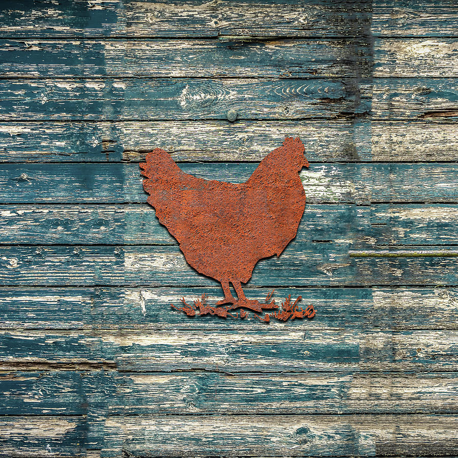 https://images.fineartamerica.com/images/artworkimages/mediumlarge/2/4-rustic-chicken-jared-davies.jpg