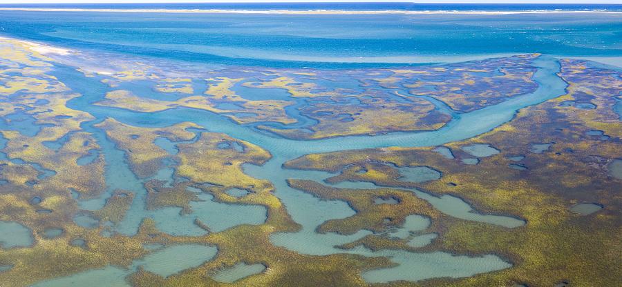 Nature Photograph - Salt Marshes And Estuaries Are Found #4 by Ethan Daniels