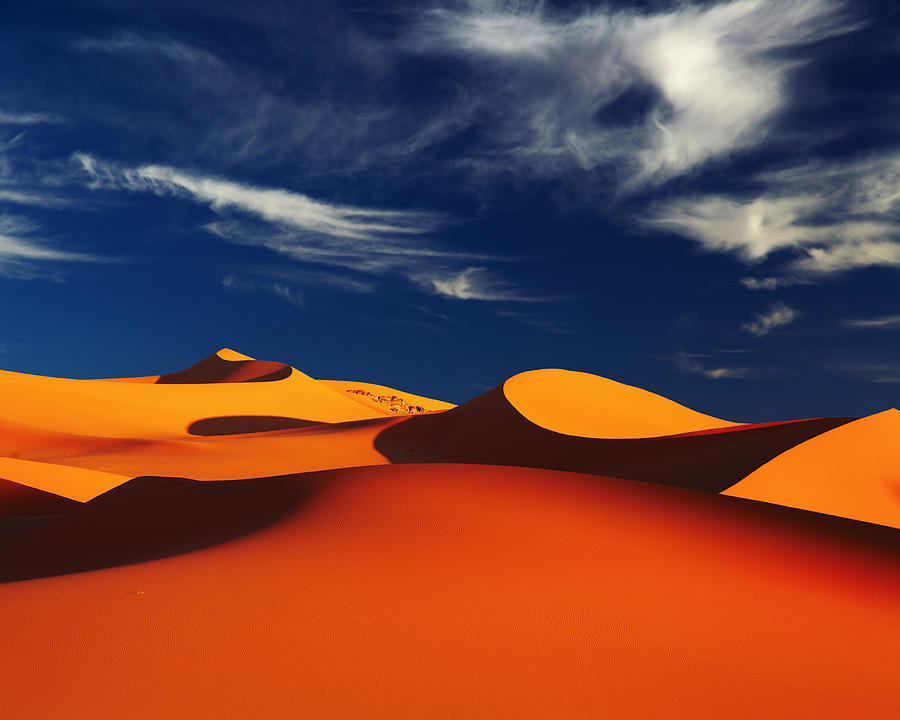 Landscape Photograph - Sand Dune In Sahara Desert At Sunset #4 by DPK-Photo