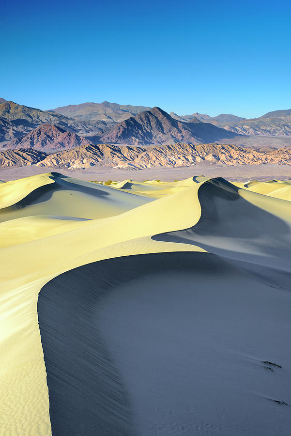 Sand Dunes, Death Valley, California #4 Digital Art by Francesco Carovillano