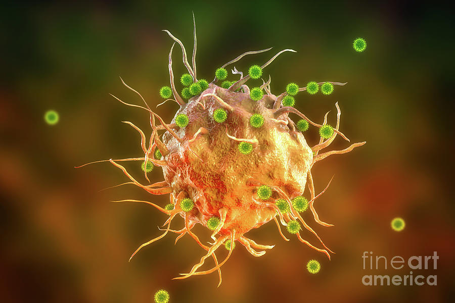 Sars Cov Viruses And Immune Cell Photograph By Kateryna Kon Science Photo Library Fine Art