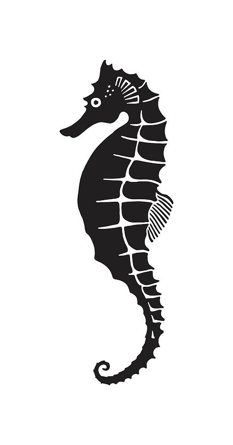 Black And White Drawing - Sea Horse #4 by CSA Images