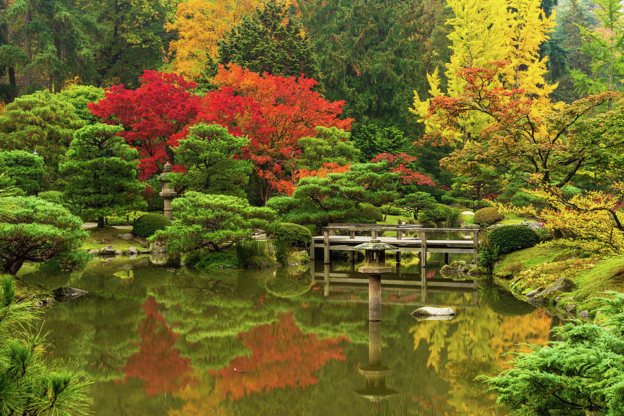 Seattle Japanese Garden #3 Digital Art by Michael Lee