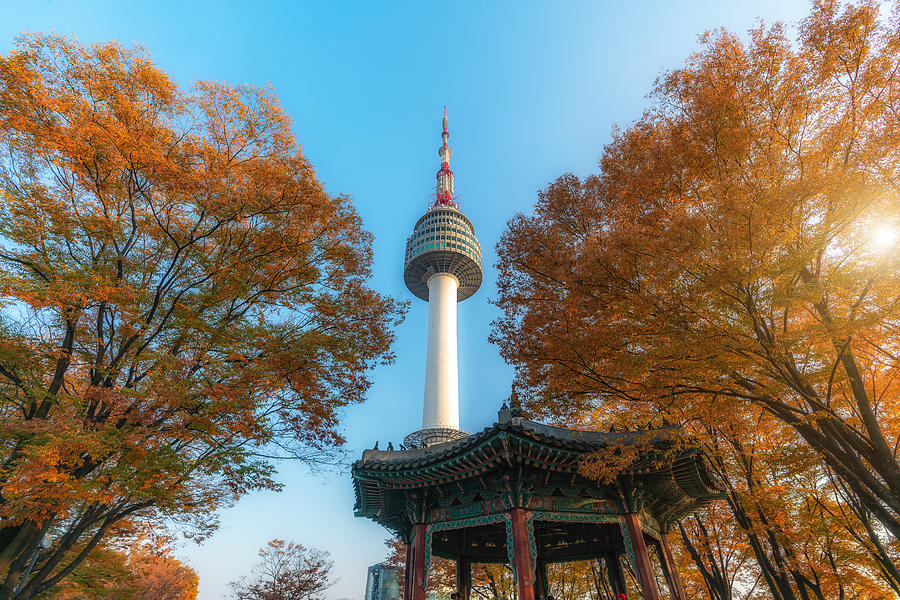 Seoul Tower With Yellow And Red Autumn Photograph by Prasit Rodphan ...