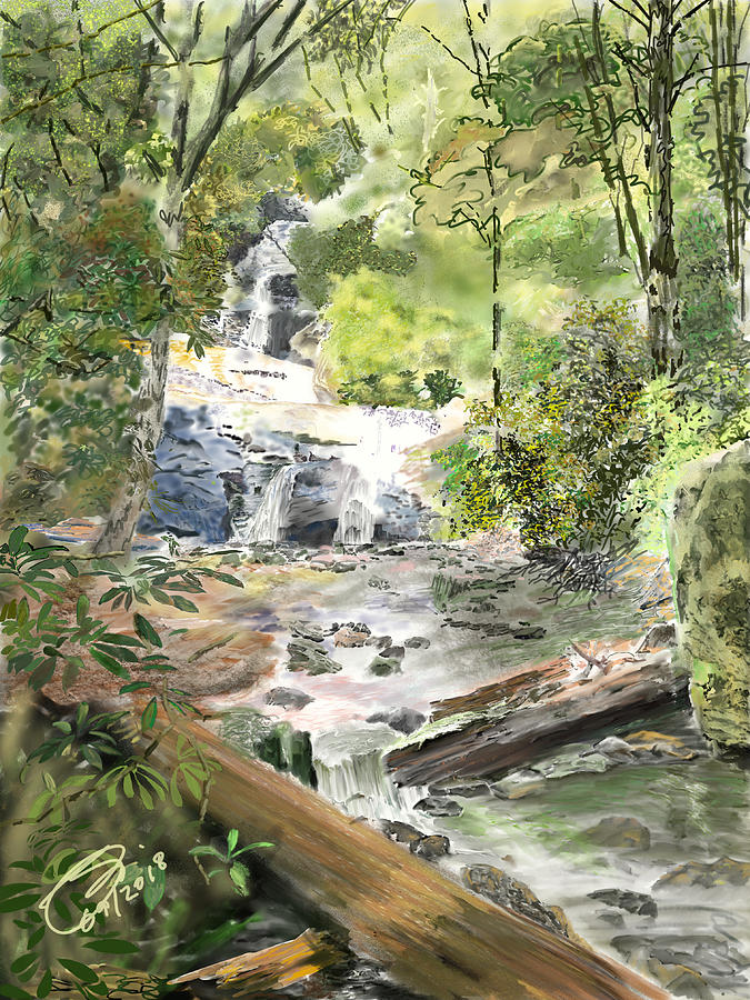Set Rock Creek Falls Digital Art