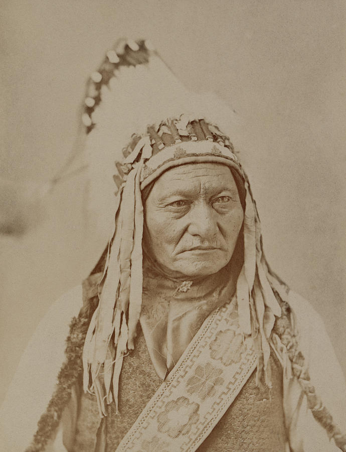 1885 Photograph - Sitting Bull, Lakota Tribal Chief #4 by Science Source