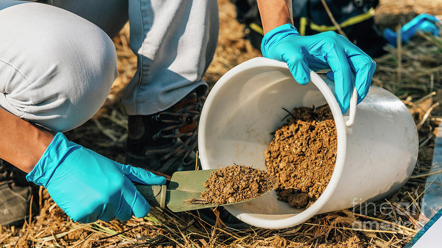 Soil Scientist Taking Soil Sample Photograph by Microgen Images/science ...