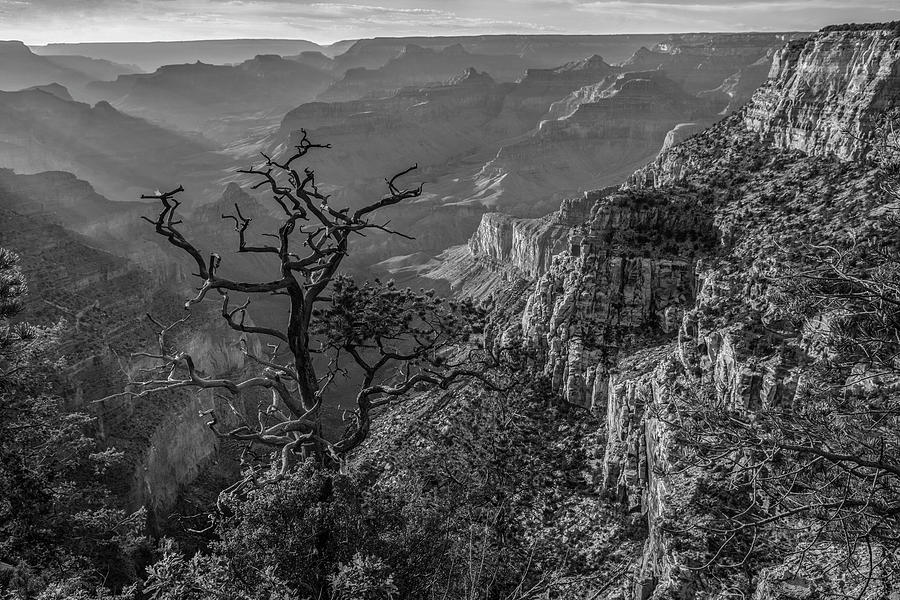 South Rim, Grand Canyon #4 Photograph by Tim Fitzharris