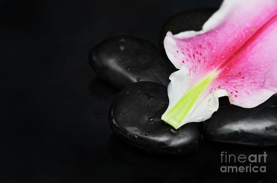 Spa Concept With Lily Petal Photograph