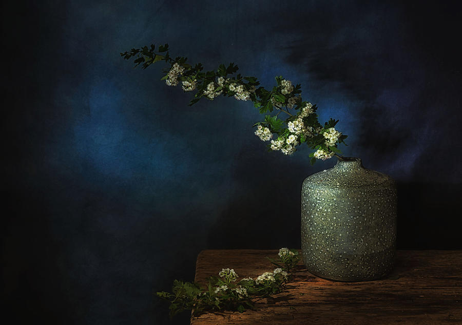 Flower Photograph - Springtime #4 by Saskia Dingemans