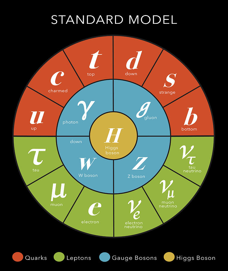 Standard Model, Particle Physics #4 Photograph by Monica Schroeder
