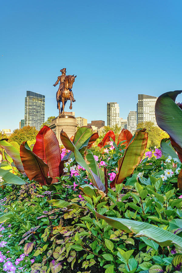 Statue, Public Garden, Boston Ma #4 Digital Art by Laura Zeid