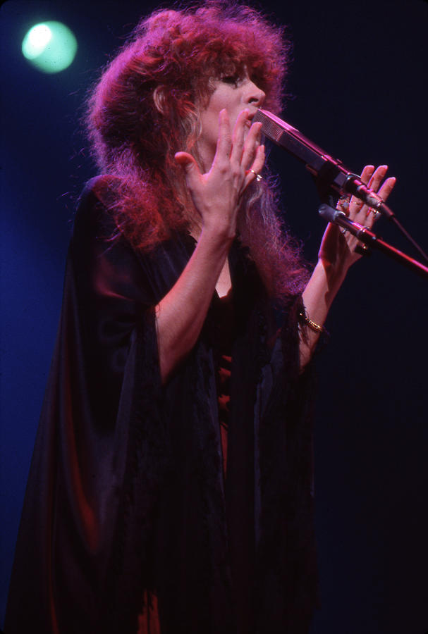 Stevie Nicks Photograph - Stevie Nicks Performance #4 by Mediapunch
