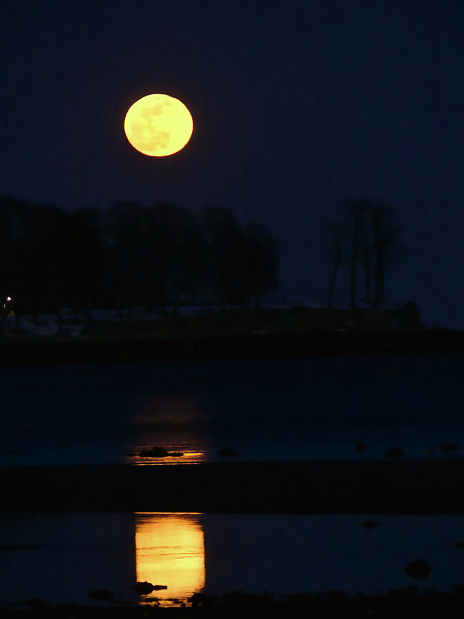 Super Snow Moon Photograph by Scott Hufford