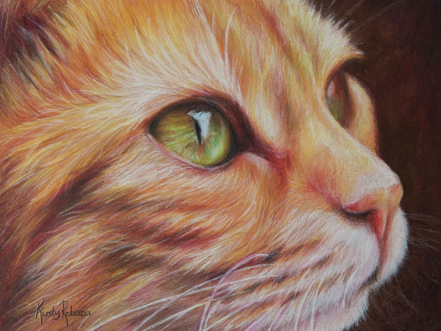 Ginger Cat Drawing by Kirsty Rebecca