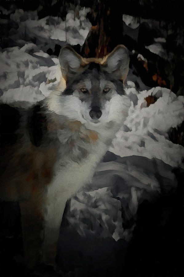 The Wolf #4 Digital Art by Ernest Echols