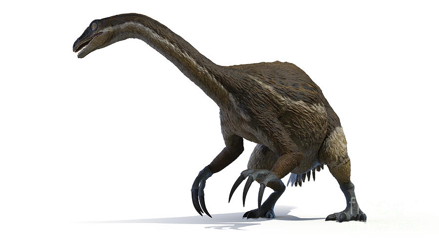 Therizinosaurus #4 Photograph by Sebastian Kaulitzki/science Photo Library