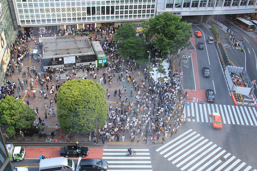 Tokyo, Japan - Shibuya Crossing #5 Photograph by Richard Krebs
