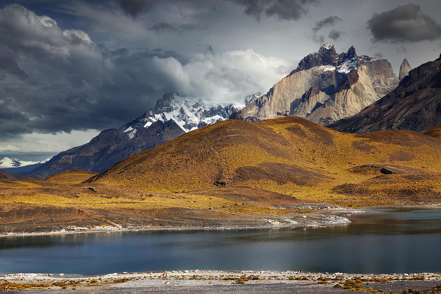 Landscape Photograph - Torres Del Paine National Park #4 by DPK-Photo