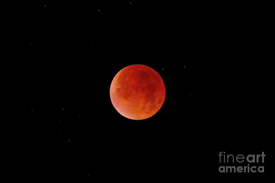 Space Photograph - Total Lunar Eclipse #4 by Miguel Claro/science Photo Library