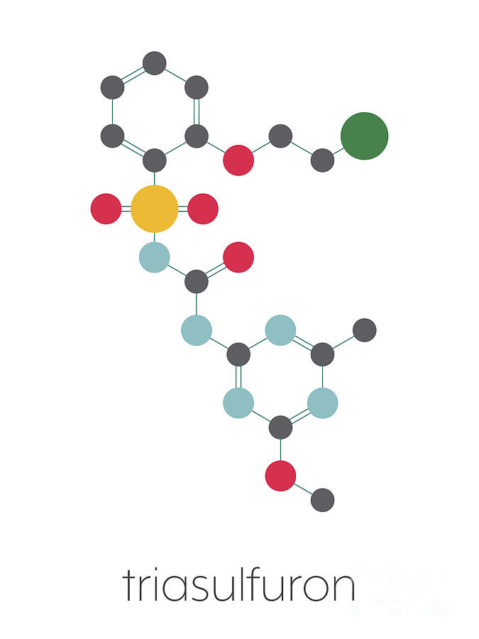 Triasulfuron Herbicide Molecule Photograph By Molekuul Science Photo 