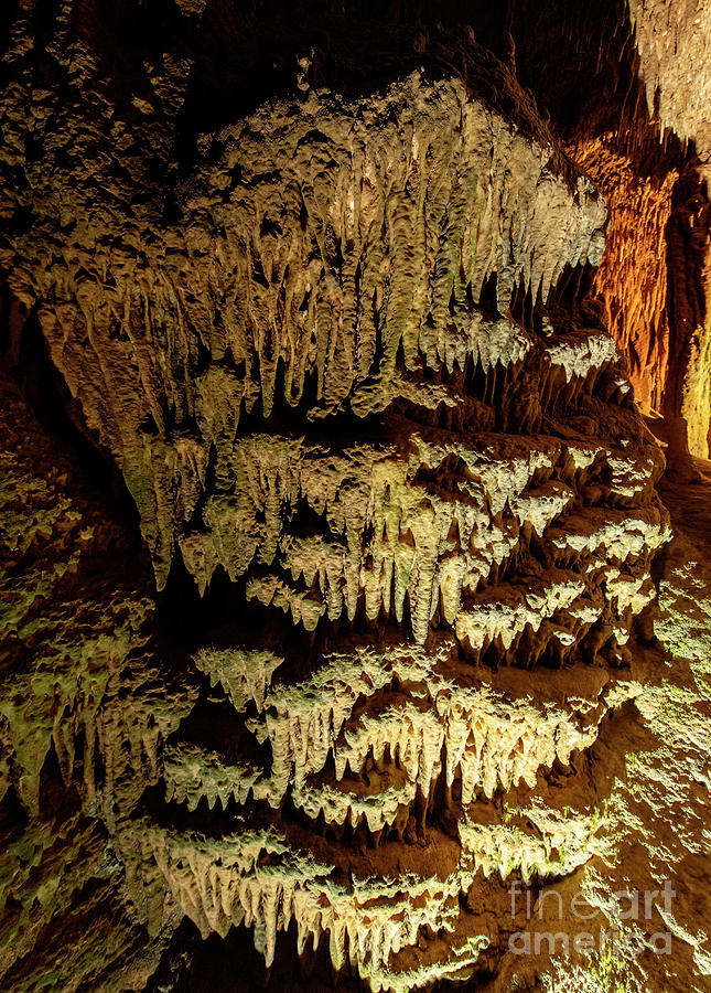 Tuckaleechee Caverns Stalagmites #1 Photograph by David Oppenheimer