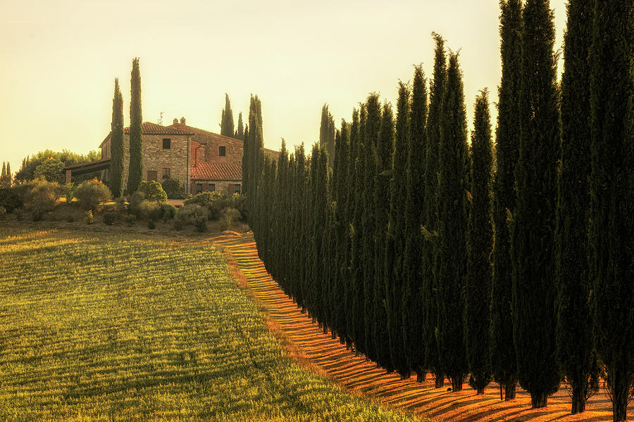 Tuscany - Italy #4 Photograph by Joana Kruse