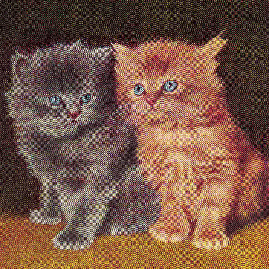 Vintage Drawing - Two Kittens #4 by CSA Images
