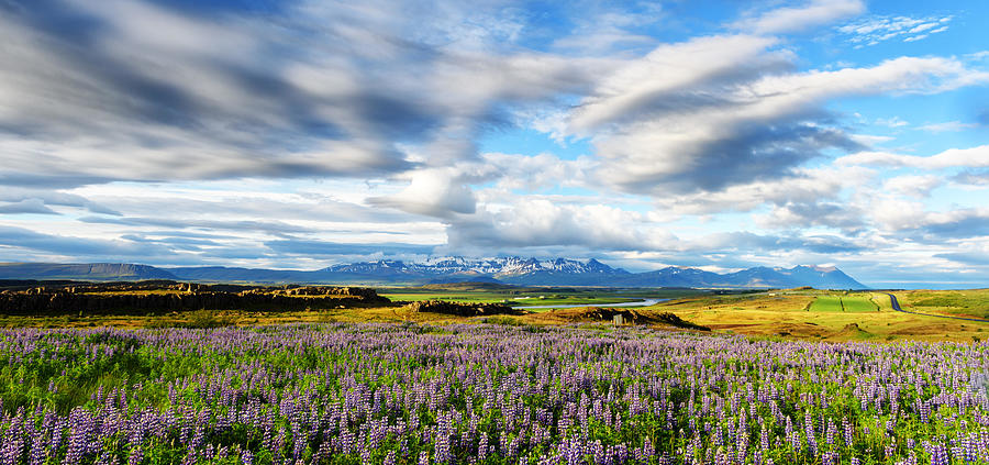 Nature Photograph - Typical Iceland Landscape #4 by Ivan Kmit