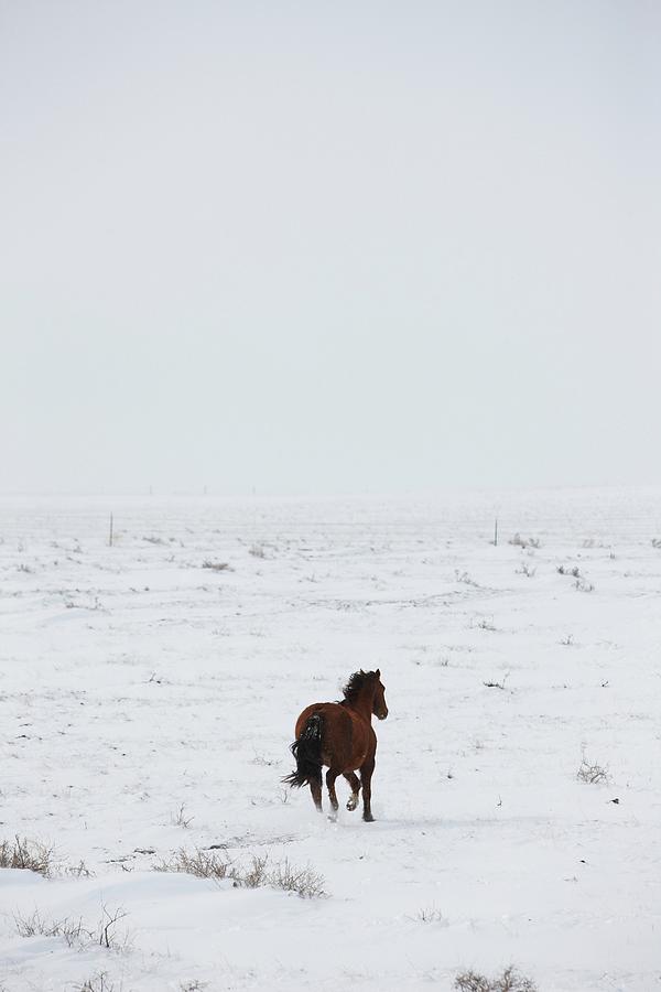 Usa, Colorado, Eastern Plains Photograph by Ed Darack - Fine Art America