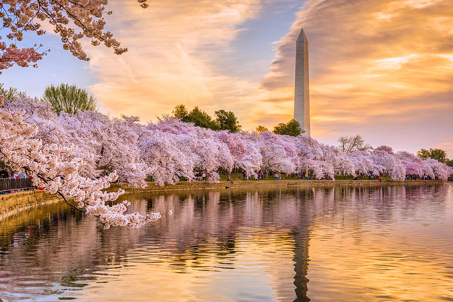 Washington Dc, Usa In Spring Season #4 Photograph by Sean Pavone Washington Dc, Usa In Spring Season #4 Photograph by Sean Pavone