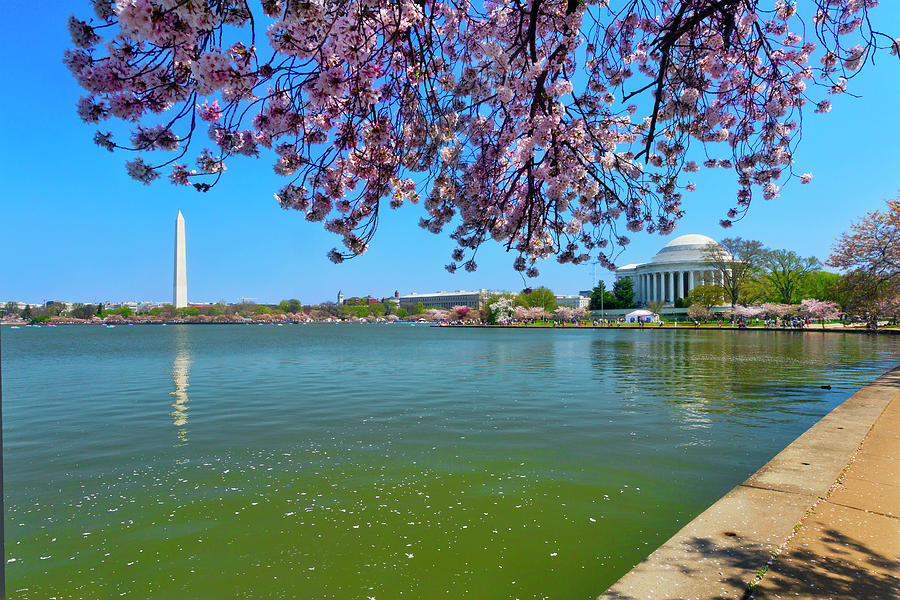 Spring Digital Art - Washington Monument, Washington Dc #4 by Claudia Uripos