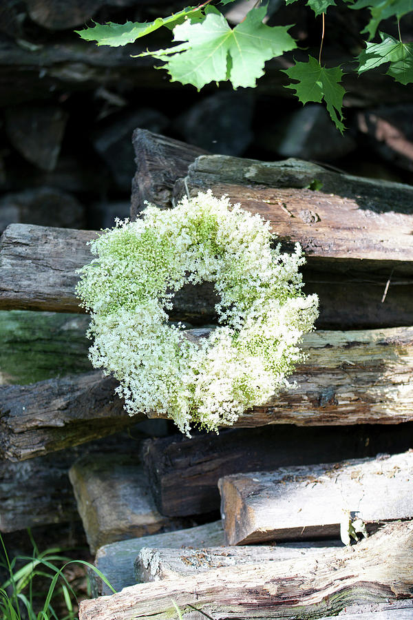 White Wreath Of Elderflowers #4 Photograph by Angelica Linnhoff
