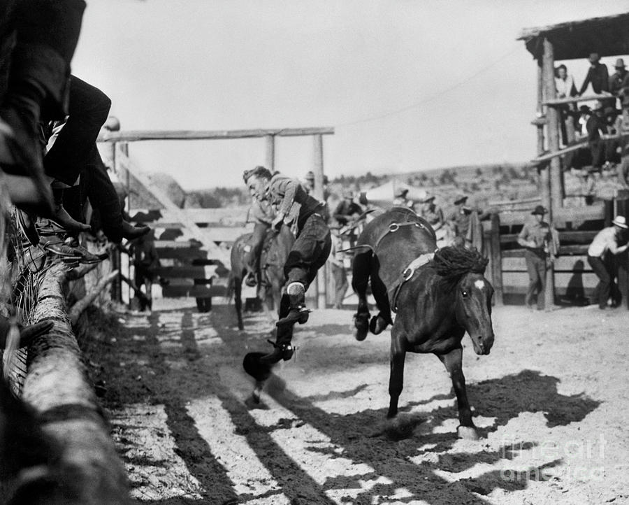 Wild Horse Auction And Rodeo Photograph by Bettmann