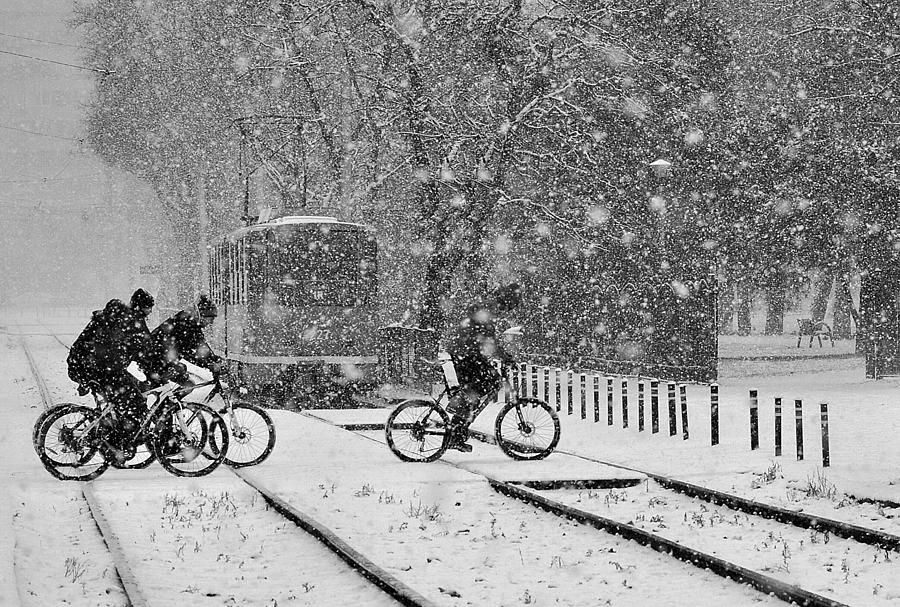 Black And White Photograph - Winter Passengers #4 by Nicoleta Gabor