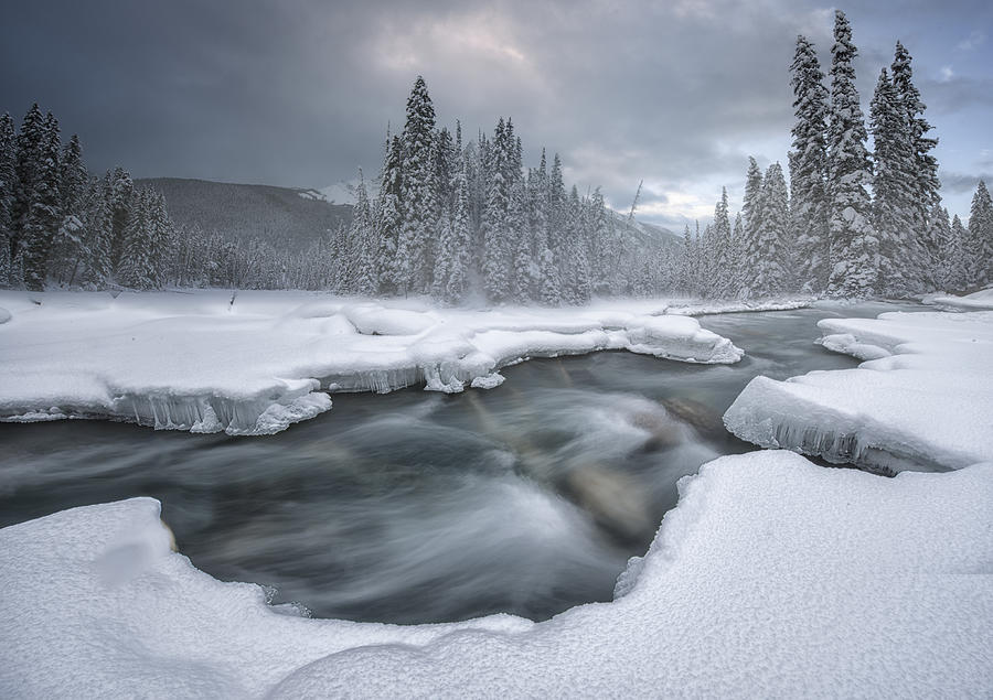 Winter Wonderland #4 Photograph by Larry Deng