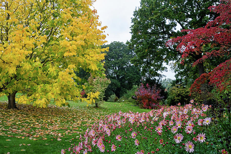 Wisley RHS Gardens  #4 Photograph by Shirley Mitchell