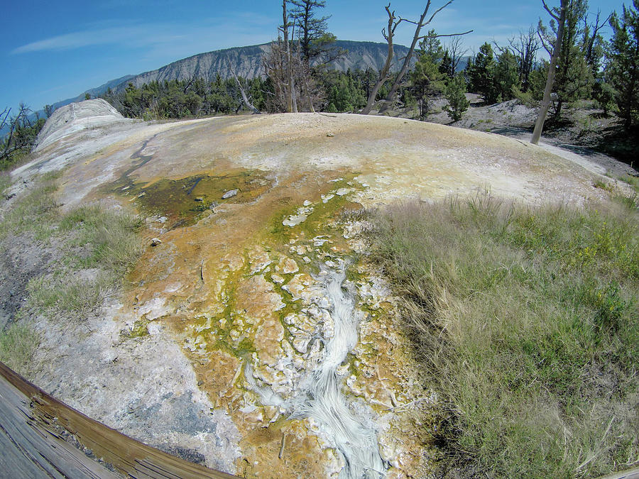 Yellostone National Park Wyoming Mammoth Springs Landscape #4 Photograph by Alex Grichenko