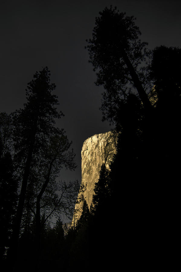 Yosemite National Park Valley #4 Photograph by Alex Grichenko