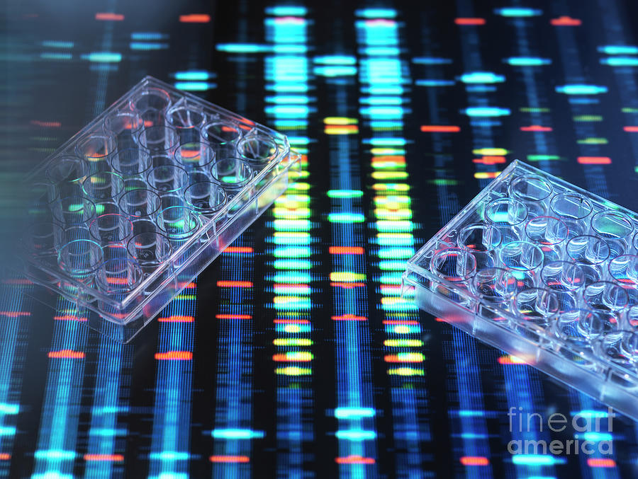 Dna Research #40 Photograph by Tek Image/science Photo Library