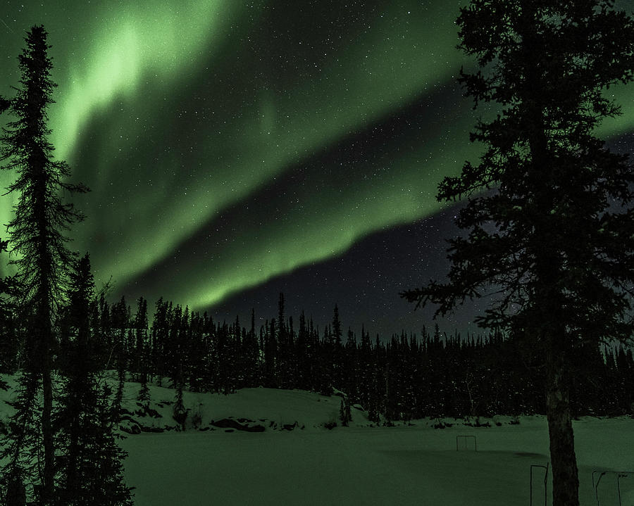 Northern Lights #40 Photograph by Laura Hedien