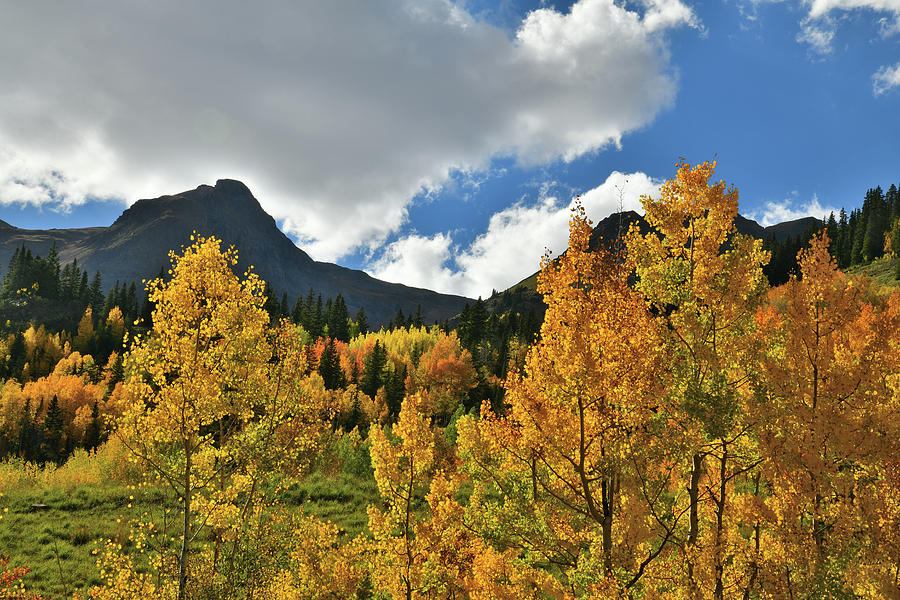 Red Mountain Pass Fall Colors #40 Photograph by Ray Mathis